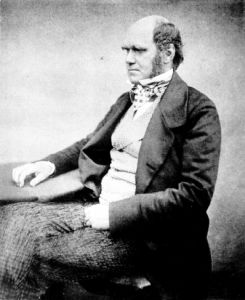 Photograph of Charles Darwin at age 51