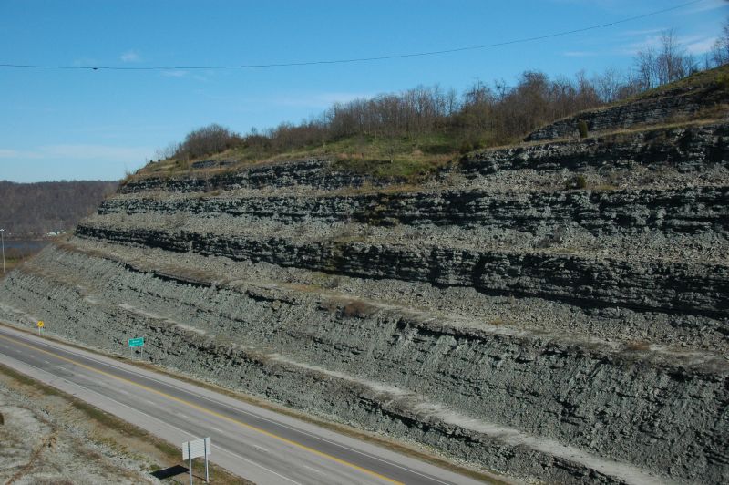 Roadcut of Kope and Fairview formations in Marysville, Kentucky
